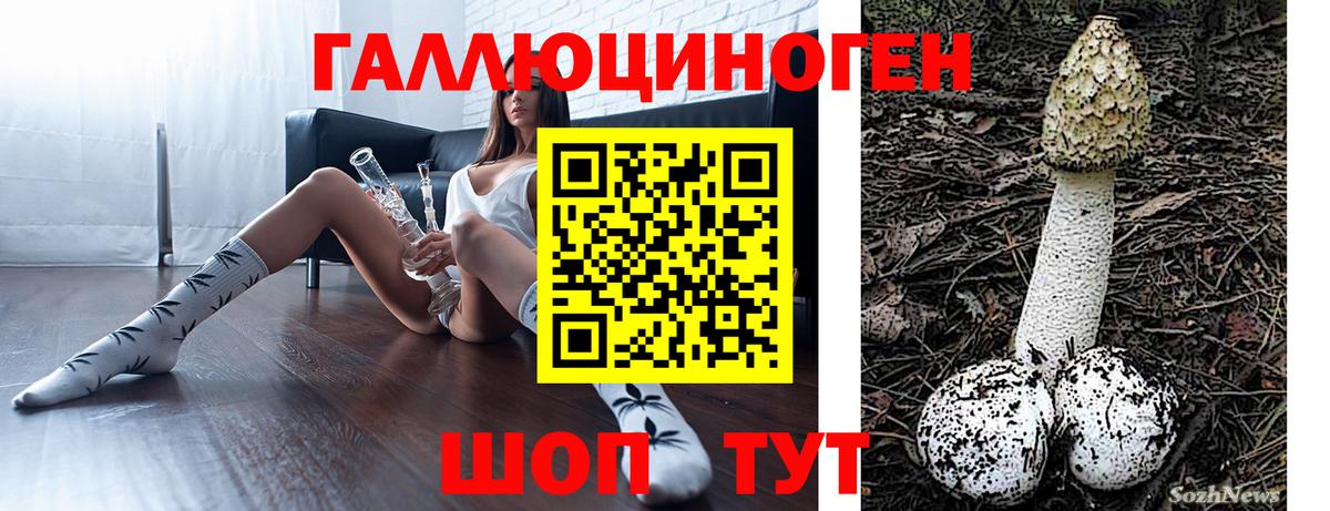 Псилоцибиновые грибы прущие грибы Кимовск