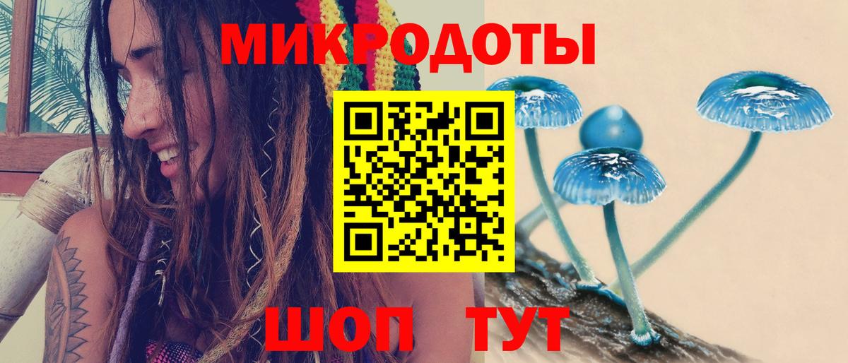 Кимовск  Галлюциногенные грибы прущие грибы  Псилоцибиновые грибы прущие грибы  Вход с VPN 